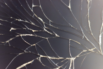Close-up macro of broken dark glass. Abstract black background with white lines. Elements of...