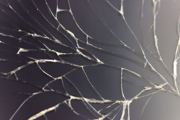 Close-up macro of broken dark glass. Abstract black background with white lines. Elements of smartphone (screen).