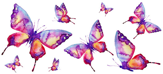 beautiful pink butterfly,watercolor,isolated on a white