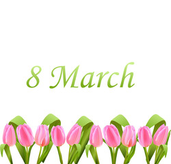 March 8, international women's day Large pink Tulip flowers on white background