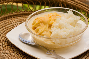Thai dessert, Durian with sticky rice in sweet coconut milk.