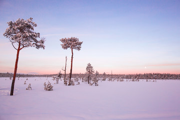 Winter wonderland in Särna Sweden © Kathrin