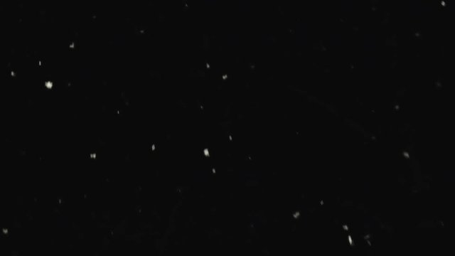 Realistic natural snowflakes falling at night in slow motion. Natural winter snow against black background.
