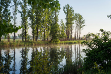 Утренний летний пейзаж с рекой. Россия, Белгородская область © 7shtopor7