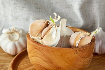 Garlic close up on wooden plate on rustic background, shallow depth of field, selective focus, macro