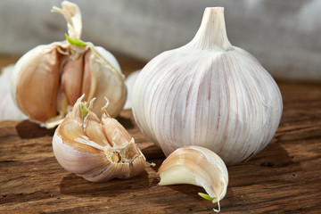 Garlic close up on wooden plate on rustic background, shallow depth of field, selective focus, macro