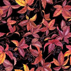 Hand drawn colorful seamless pattern with watercolor wild grape. Autumn repeated background
