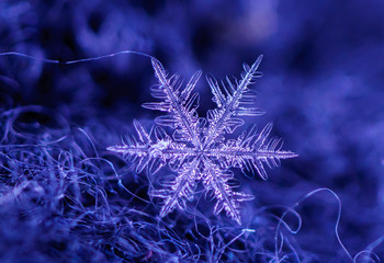snowman,snow flakes,crystal texture,crystal pattern,crystal background,colorful crystal,snow...