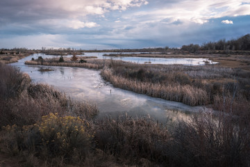 Reflection on the frozen pond at dusk, Riverbend Ponds, Fort Collins, Colorado