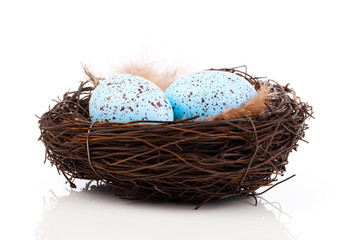 Naklejka na ściany i meble eggs in birds nest isolated on white background