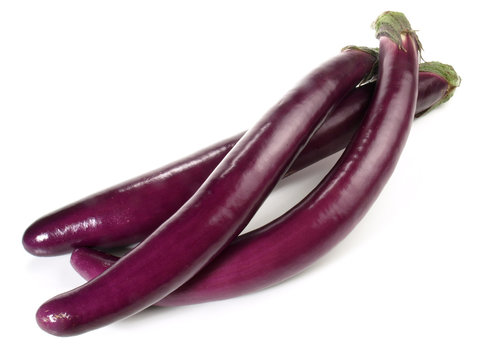 Aubergine - Schlangenaubergine