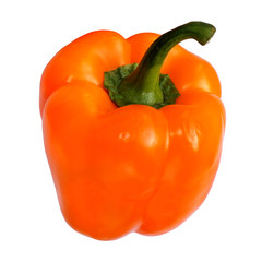 Paprika red yellow green tail