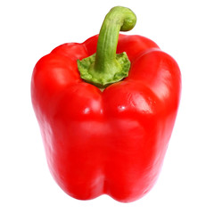 Paprika red yellow green tail.