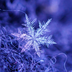 snowman,snow flakes,crystal texture,crystal pattern,crystal background,colorful crystal,snow...