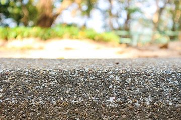 The pattern on the stone wall background with trees