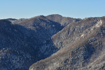 Forest in winter, Bucegi mountains, Romania