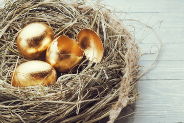 Golden eggs in the nest, one broken egg