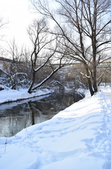 Small river in the park in winter with snow and bare trees on the banks. Bright winter day. Reflections on the water. Copy space. 