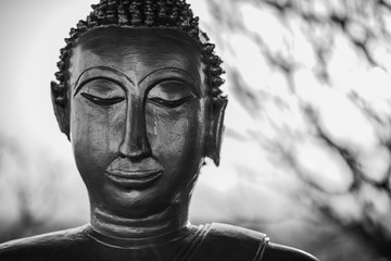 Buddha statue on black and white.