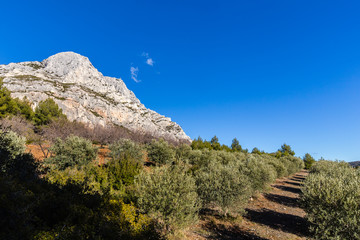 the Sainte Victoire mountain, in Provence