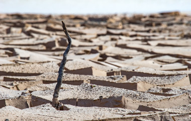 Dürre / Austrocknung / Klimawandel