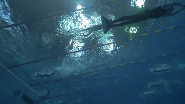 Men in mono flippers underwater in swimming pool during training free diving