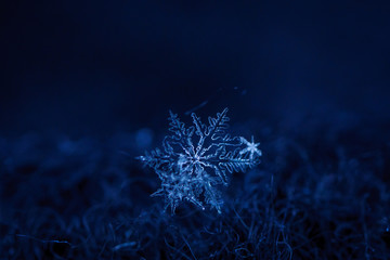 Beautiful detail of a snowflake, a single ice crystal in Paris winter, falls through the Earth's...
