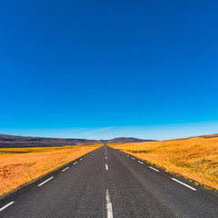 Naklejka premium Isolated road and Icelandic colorful landscape at Iceland,