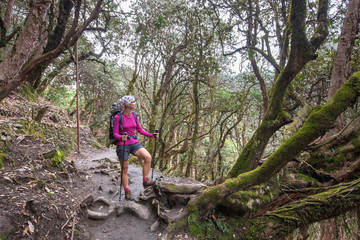 Naklejka na ściany i meble Trekker in the forest on the way to Annapurna base camp, Nepal