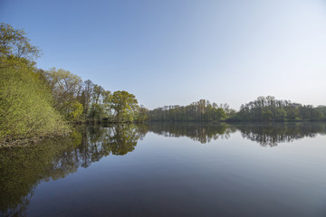 Fototapeta na wymiar Peaceful View to Lake De Witt at Springtime Morning/ Germany