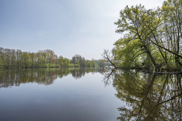 Fototapeta na wymiar Tranquil Water Reflections on Lake De Witt / Germany