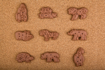 Chocolate baby cookies animals studio quality 