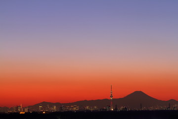 富士山とスカイツリー