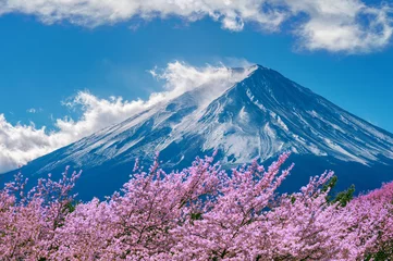Tuinposter Fuji mountain and cherry blossoms in spring, Japan. © tawatchai1990
