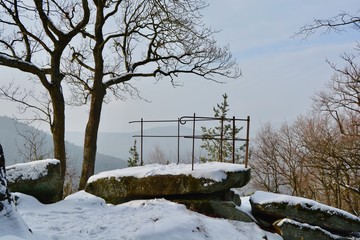 Schnee im Wald