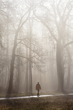 Rei&szlig;insel, Mannheim, Baden-W&uuml;rttemberg, Germany: A foggy morning in the forest backlight by the rising sun. A man walking down concrete path into the woods.