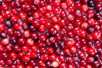Berries cranberries, drink, jam spruce branches, cones on a dark background with a copy of the space