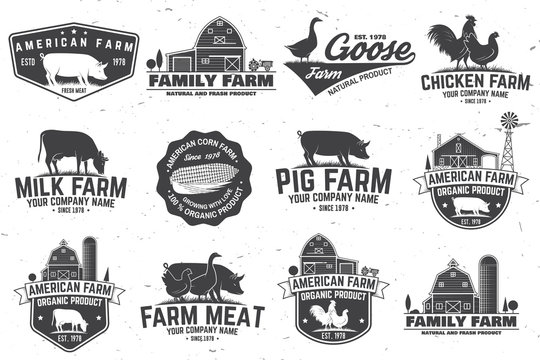 American Farm Badge or Label. Vector illustration.