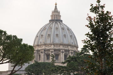 Fototapeta na wymiar The dome of St. Peter seen from the Vatican gardens, Rome, Italy