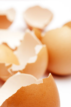 broken hen egg eggshels over white background like a concept of fragile, Easter, cooking