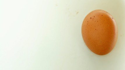 Fresh egg