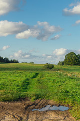Fototapeta na wymiar Green field and a blue sky