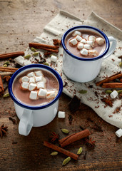 Hot chocolate, cocoa with spice and marshmallow in rustic cups.