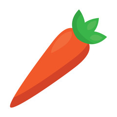 vegetable food healthy carrot fresh vector illustration 