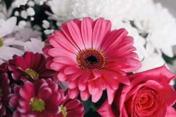 Bunch of pink flowers