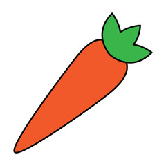 vegetable food healthy carrot fresh vector illustration 
