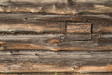 Old log house wall texture