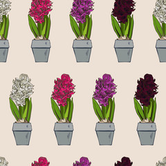 seamless pattern botanical home garden spring colors flower in flowerpot blooming hyacinth