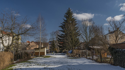 Garden in Ceske Budejovice city in winter day