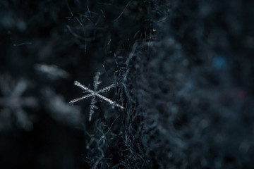 Beautiful detail of a snowflake, a single ice crystal in Paris winter, falls through the Earth's atmosphere as snow. Shining hexagonal crystals shape, used as a symbol of snow or crystal in science